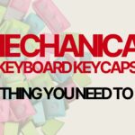 Complete Guide for Mechanical Keyboard Switches 2025
